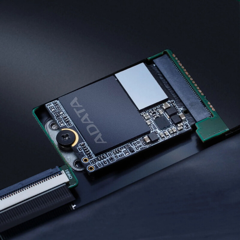 Накопичувач SSD 1TB A-Data XPG Gammix S55 M.2 2230 PCIe 4.0 x4 3D NAND (SGAMMIXS55-1T-C)