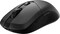 Фото - Мышь MSI Versa 300 Wireless Black (VERSA 300 W 8K) | click.ua