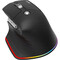 Фото - Миша Acer USB Easy Fit Wireless Black (HP.EXPBG.021) | click.ua
