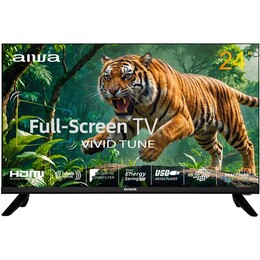 Телевизор Aiwa JH24DT180