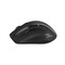 Фото - Миша бездротова Canyon On Click 17 Wireless Black (CNE-CMSW17B) | click.ua