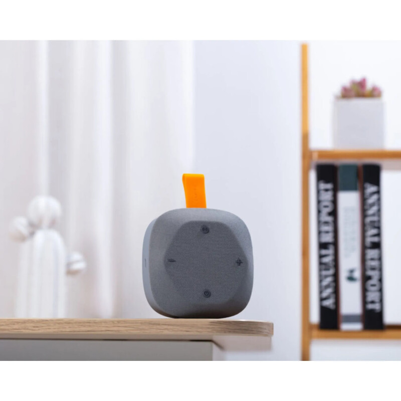 Акустическая система Canyon Hexagon 10 Grey Orange (CNE-CBTSP10GO)