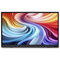 Фото - Монитор 15.6" Acer PM161QJ2bmiuux (UM.ZP1EE.201) IPS Black | click.ua