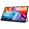 Фото - Монитор 15.6" Acer PM161QJ2bmiuux (UM.ZP1EE.201) IPS Black | click.ua