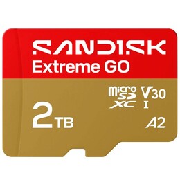 Карта пам`ятi MicroSDXC 2TB UHS-I/U3 A2 Class 10 SanDisk Extreme Go (SDSQXGN-2T00-GN6MN)