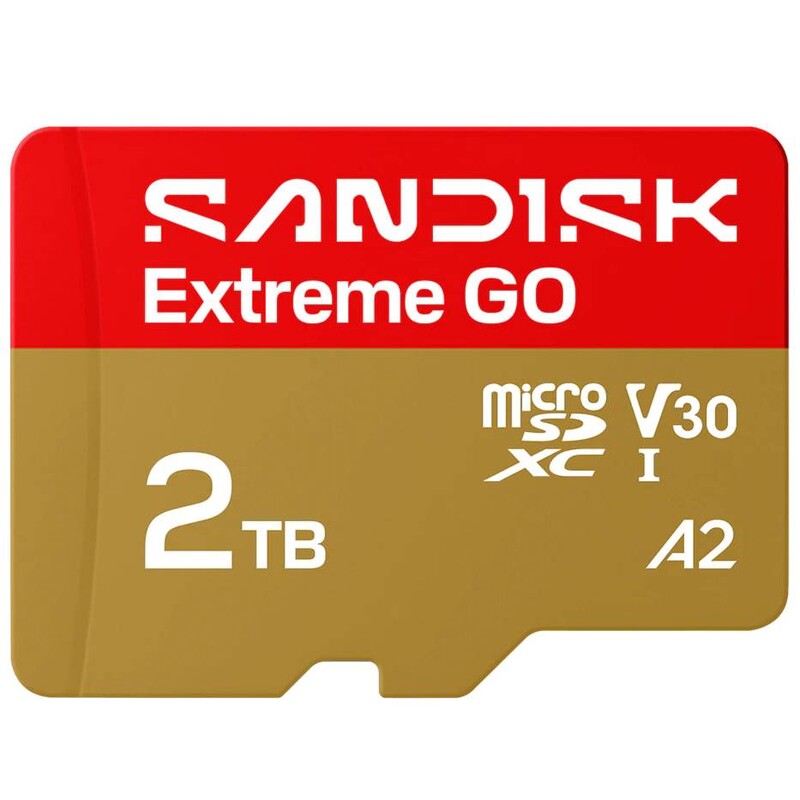 Карта пам`ятi MicroSDXC 2TB UHS-I/U3 A2 Class 10 SanDisk Extreme Go (SDSQXGN-2T00-GN6MN)
