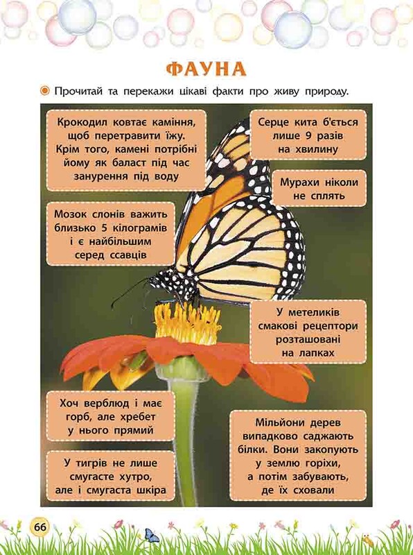 Секрети знань. Зустрічай 4 клас