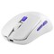 Фото - Мышь беспроводная Proove Gaming Everon White (WMEV00022002) | click.ua