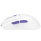 Фото - Мышь беспроводная Proove Gaming Everon White (WMEV00022002) | click.ua