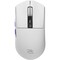Фото - Мышь беспроводная Proove Gaming Jester 8K White (WMJS00022002) | click.ua