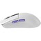 Фото - Мышь беспроводная Proove Gaming Jester 8K White (WMJS00022002) | click.ua