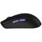 Фото - Мышь беспроводная Proove Gaming Jester 8K Black (WMJS00022001) | click.ua