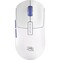 Фото - Мышь беспроводная Proove Gaming RC Raider 8K White/Purple (WMRR00122017) | click.ua