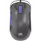 Фото - Мышь Proove Gaming Gaming Blaze Black/Purple (GMBL00102001) | click.ua