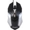 Фото - Миша Jedel CP79 Black | click.ua