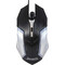 Фото - Миша Jedel CP79 Black | click.ua
