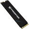 Фото - Накопичувач SSD 2TB Acer GM9 Predator M.2 2280 PCIe 5.0 x4 3D NAND (BL.9BWWR.137) | click.ua
