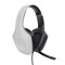 Фото - Гарнітура Trust GXT 415W Zirox White (25147) | click.ua
