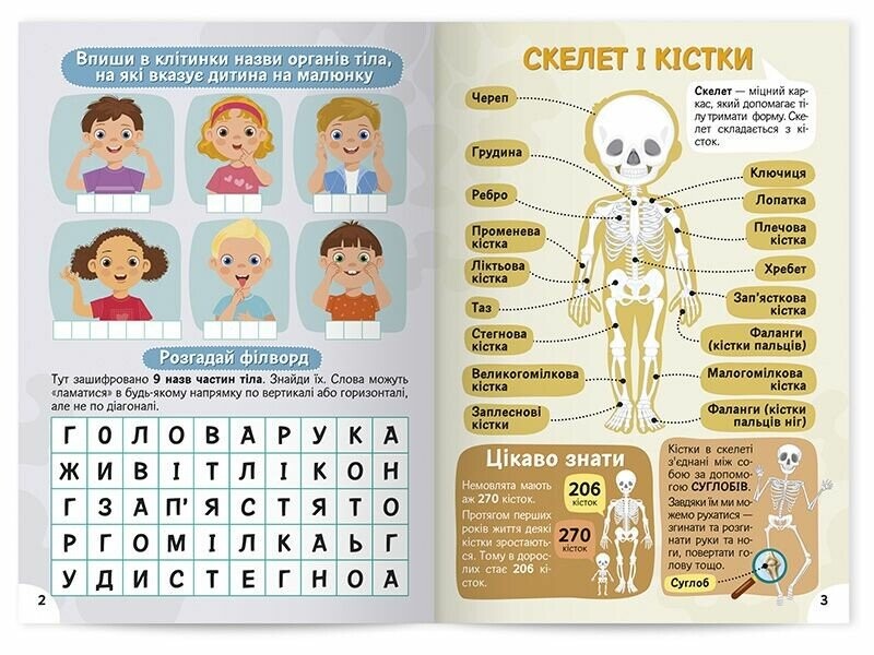 Вивчаємо будову тіла. Робочий зошит-посібник із наліпками