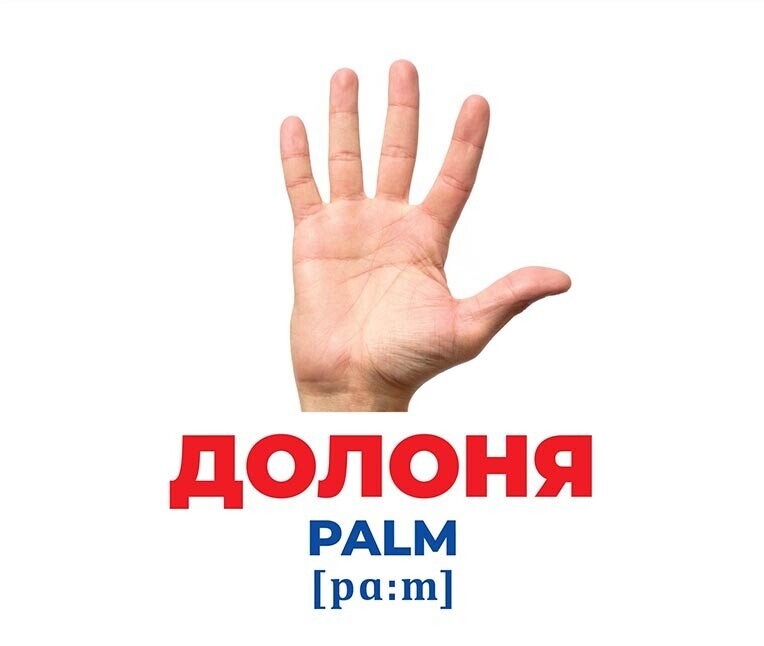 Геній з пелюшок. Будова тіла