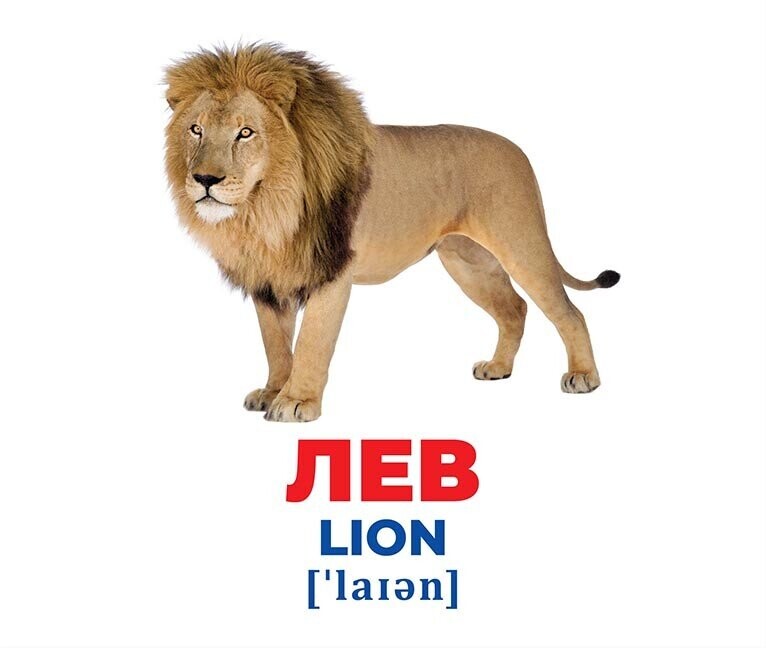 Геній з пелюшок. Тварини різних широт