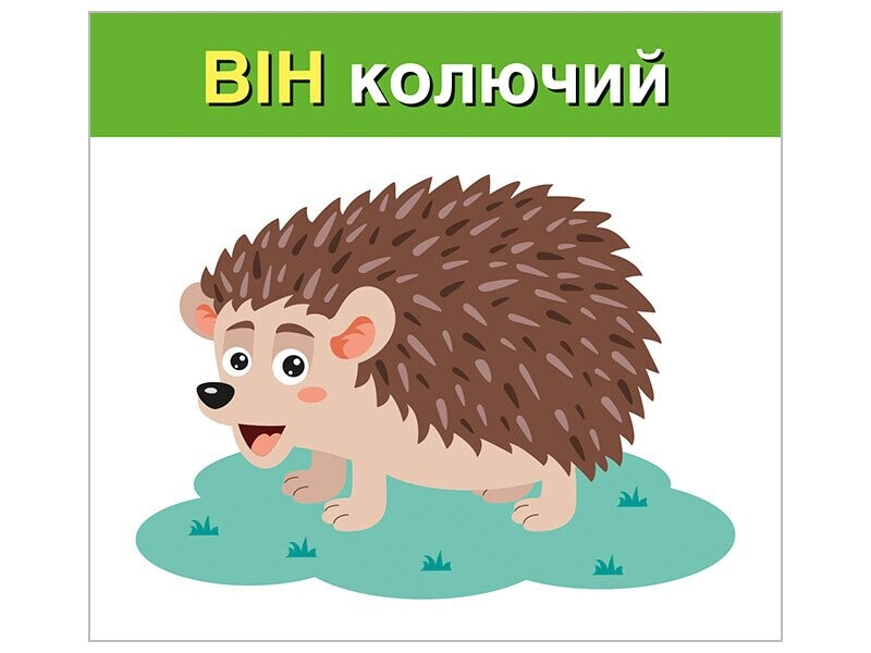 Учебные карточки. Изучаем местоимения: он, она, оно, они