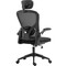 Фото - Крісло для геймерів Sandberg ErgoFusion Basic Black (640-97) | click.ua