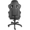 Фото - Крісло для геймерів AGN AGN09-26 Black/Gray | click.ua