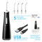 Фото - Іригатор Pecham Travel PC-5240 Black (4820301550112) | click.ua