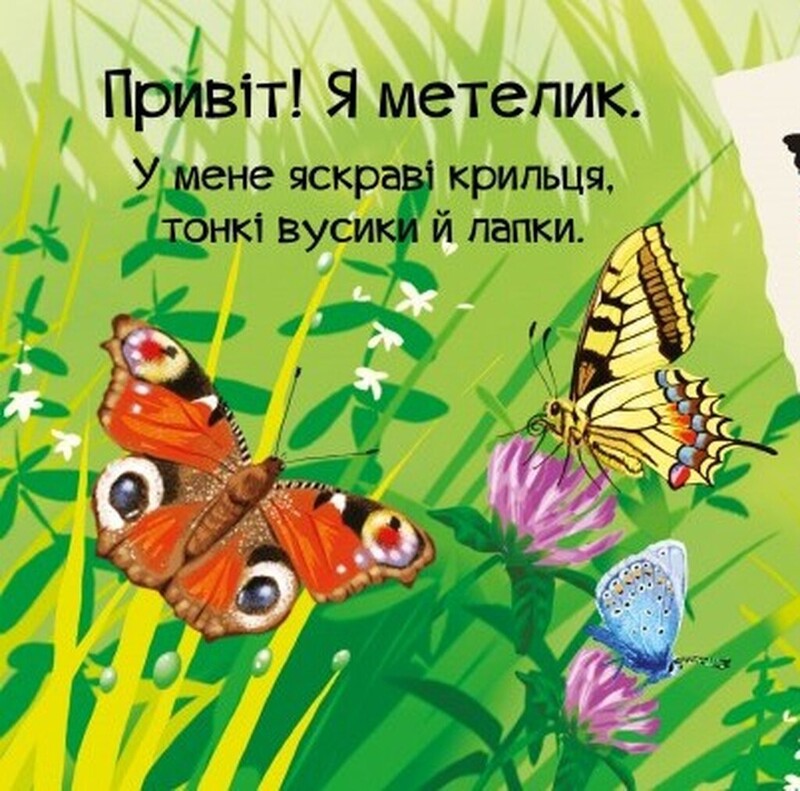 Знакомься. Комплект из 4-х книг / Мария Жученко