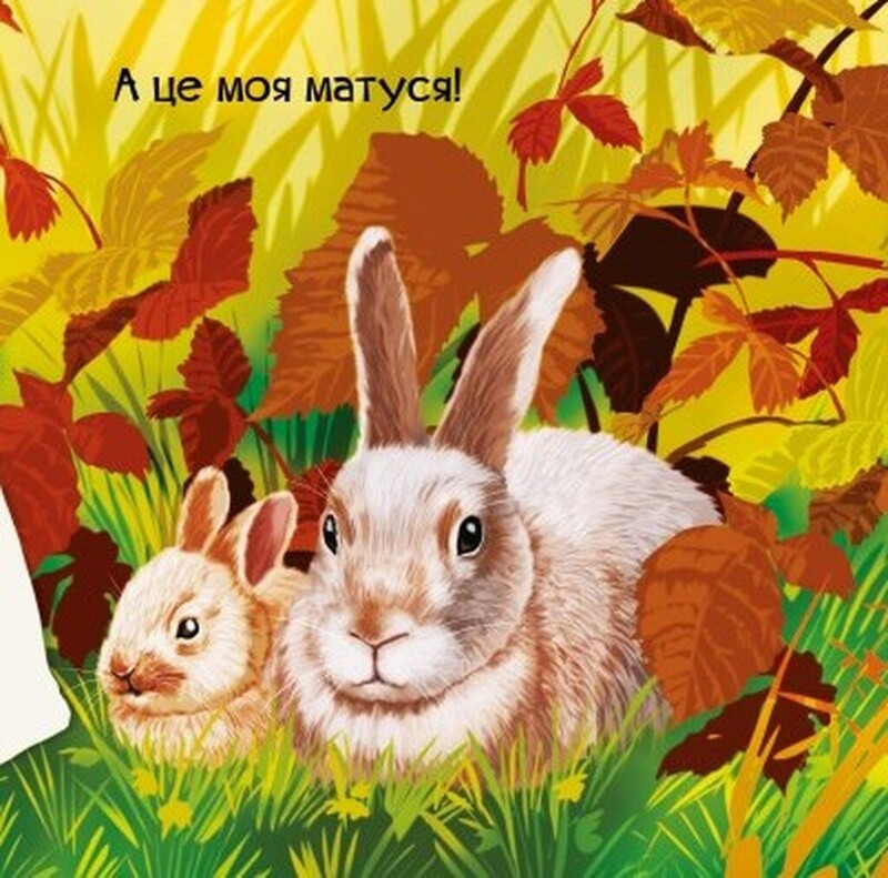 Знакомься. Комплект из 4-х книг / Мария Жученко