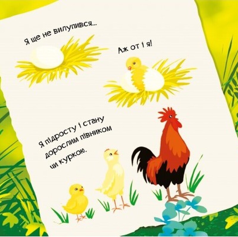Знакомься. Комплект из 4-х книг / Мария Жученко
