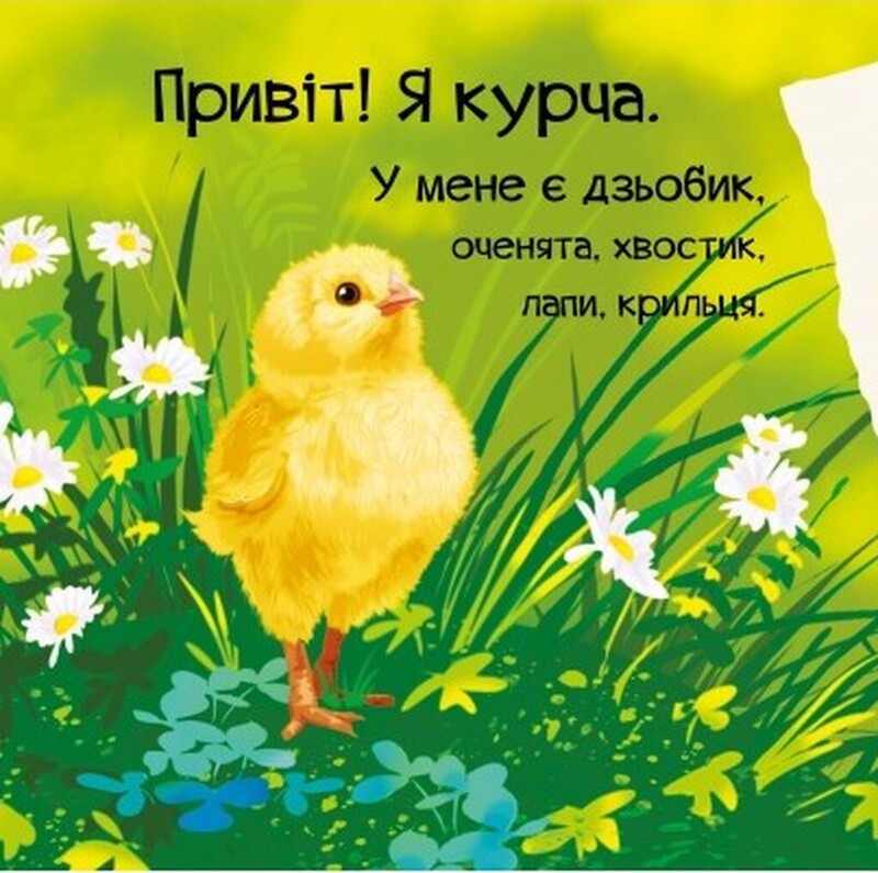 Знакомься. Комплект из 4-х книг / Мария Жученко