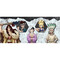 Фото - Чашка Abystyle Dr. Stone Characters 320 мл (ABYMUG829) | click.ua