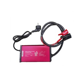 Зарядное устройство для АКБ LiFePO4 LogicPower 24V (29.2V)-30A-876W (LP39000)