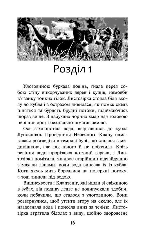 Коти-вояки. Доля Небесного Клану. Спеціальне видання / Ерін Гантер
