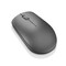 Фото - Мышь беспроводная Lenovo 530 Wireless Graphite (GY50Z49089) | click.ua