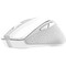 Фото - Мышь беспроводная Trust Nito Silent White (25550) | click.ua