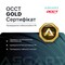 Фото - Ігровий комп`ютер ASGARD GAMER RTX 5080 / Ryzen 7 9800X3D / DDR5 32GB / SSD 2TB / Win 11 (ASG-G-5080-7717W) | click.ua