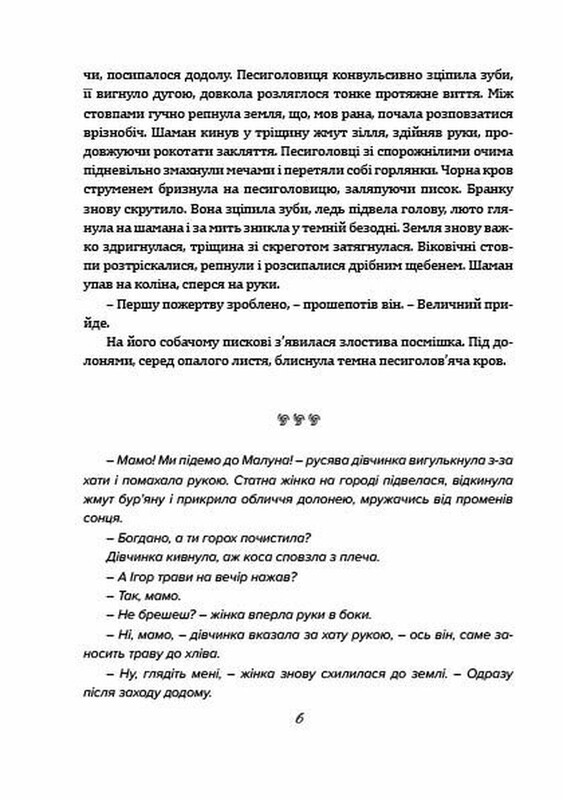 Колдун из Княжграда. Комплект из 3-х книг / Сергей Пильтяй