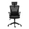 Фото - Кресло офисное 2E Office OC130 Black (2E-OC130-BLACK) | click.ua