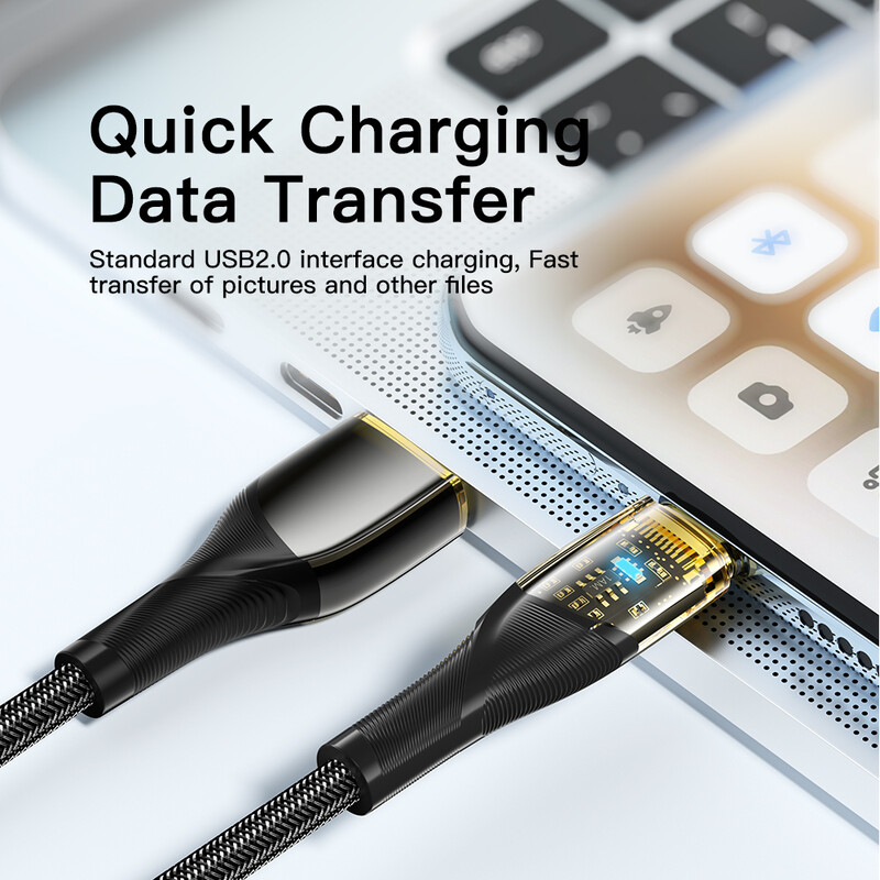 Кабель Essager Interstellar Transparent Design USB - USB Type-C (M/M), 100W, 1 м Black (EXCT-XJ01-P)