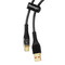 Фото - Кабель Essager Interstellar Transparent Design USB - USB Type-C (M/M), 100W, 1 м Black (EXCT-XJ01-P) | click.ua