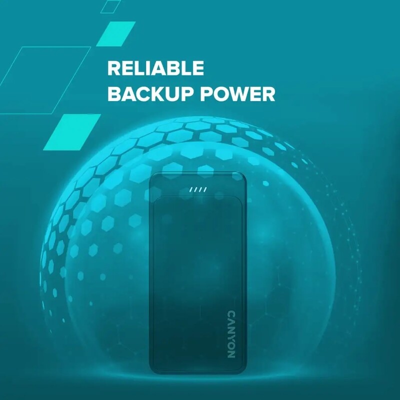 Универсальная мобильная батарея Canyon OnPower 100 10000mAh Black (CNS-CPB100B)