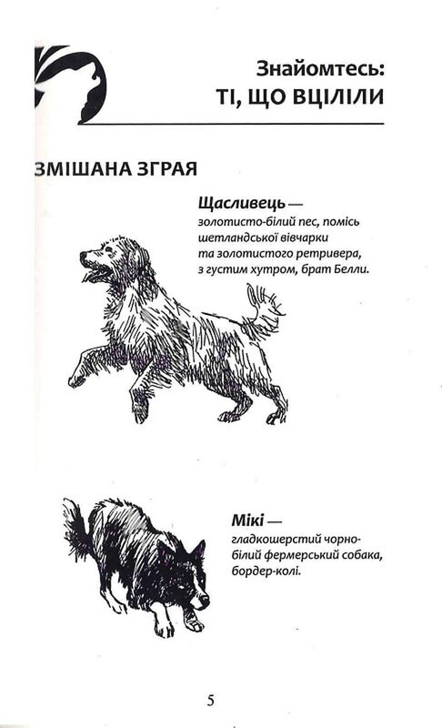 Стая. Книга 4: Перерваний шлях / Эрин Хантер