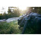 Фото - Монопод GoPro Extension Pole (AGXTM-001) | click.ua