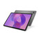 Фото - Планшет Lenovo Idea Tab TB336FU 4/128GB Luna Grey + Case&Pen (ZAFR0375UA) | click.ua