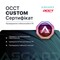 Фото - Кастомный ПК ASGARD ONE STALKER RTX 5080 / Ryzen 9 9950X3D / DDR5 48GB / SSD 2TB (ASG-ONE-5080-7567) | click.ua
