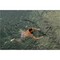 Фото - Плавающий монопод GoPro Floating Extension Pole 80 см (AFHGM-011) | click.ua