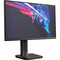Фото - Монитор Thunderobot 24.5" LF25F240L (JT00EC00R) IPS Black 240Hz | click.ua